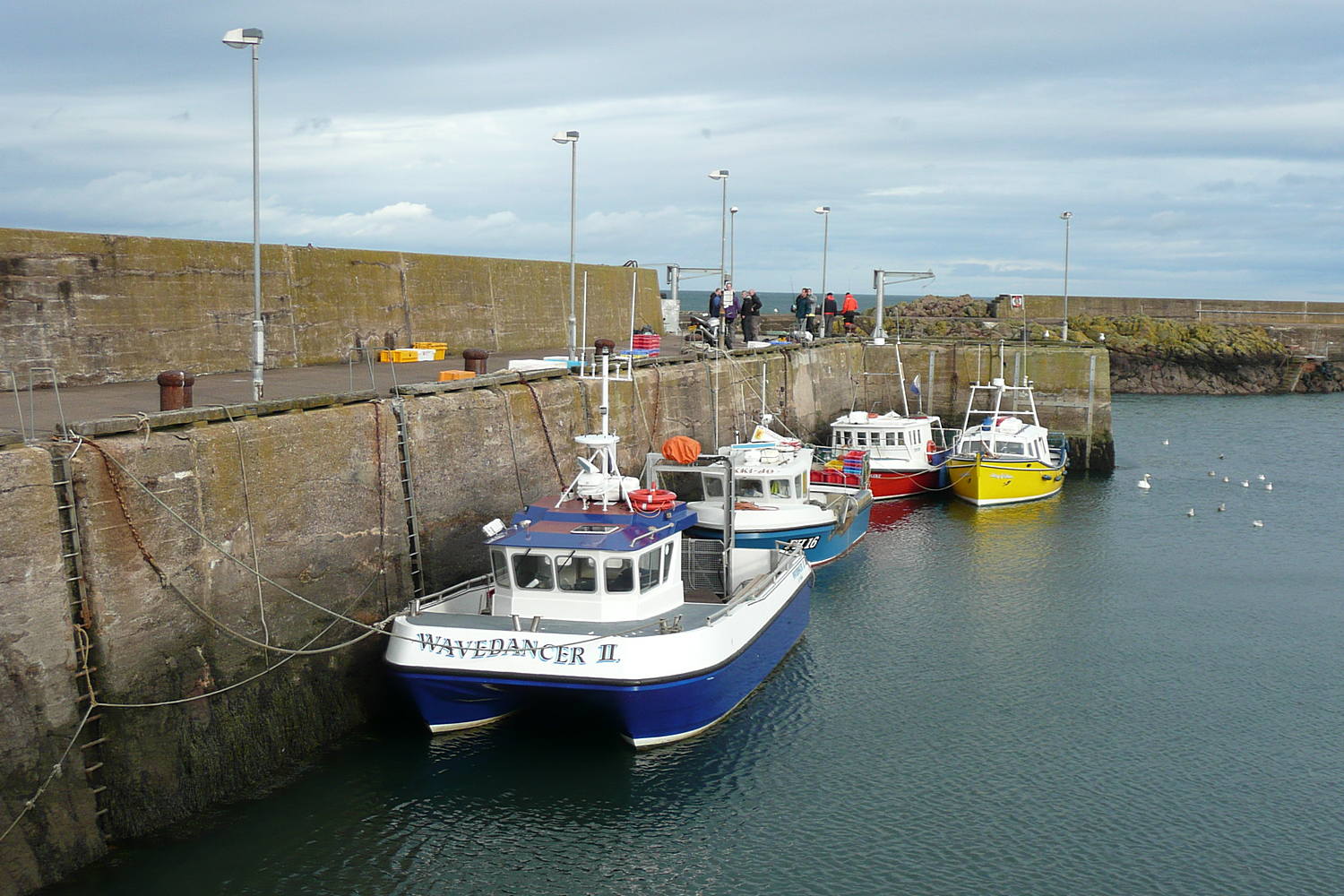 Boats in Harbour